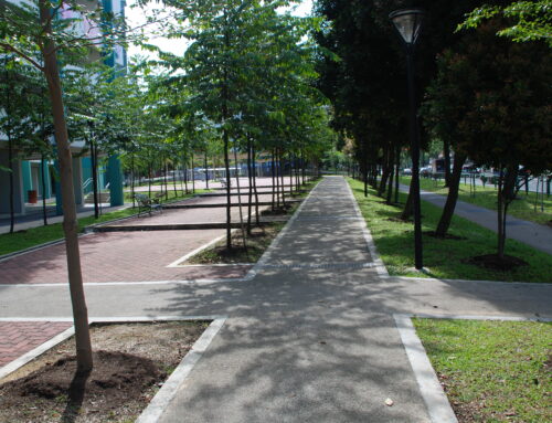 Pedestrian Mall – West Coast Road (2009)