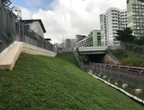 Contract 1693 Slope Stabilization Works At Choa Chu Kang Ave 1 (2019)